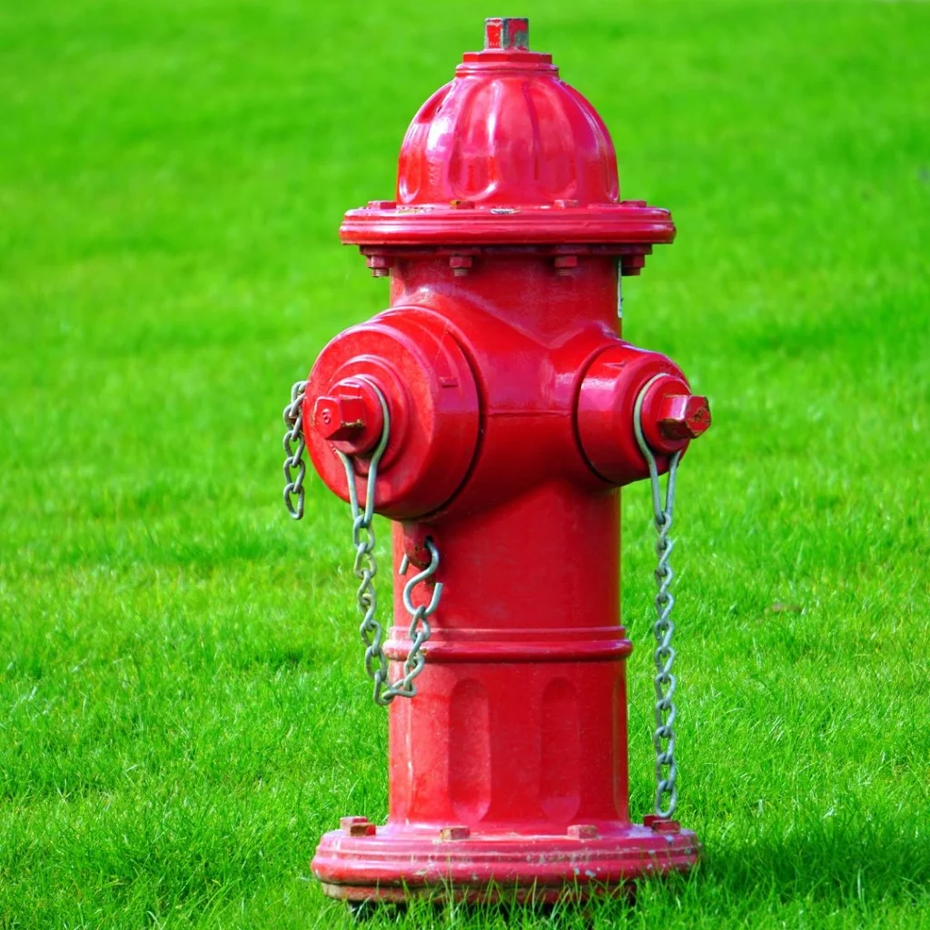 Hydrant valves